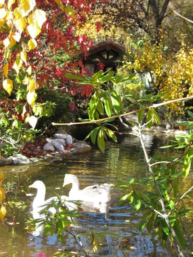 Hotel Rural Los Frutales Cercedilla Εξωτερικό φωτογραφία