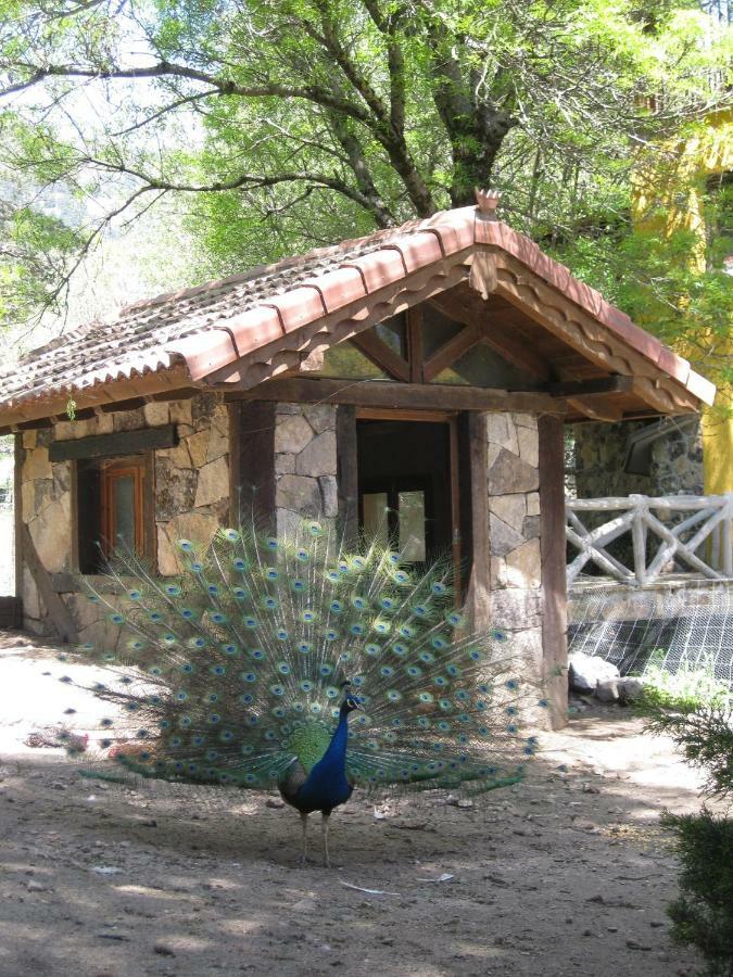 Hotel Rural Los Frutales Cercedilla Εξωτερικό φωτογραφία