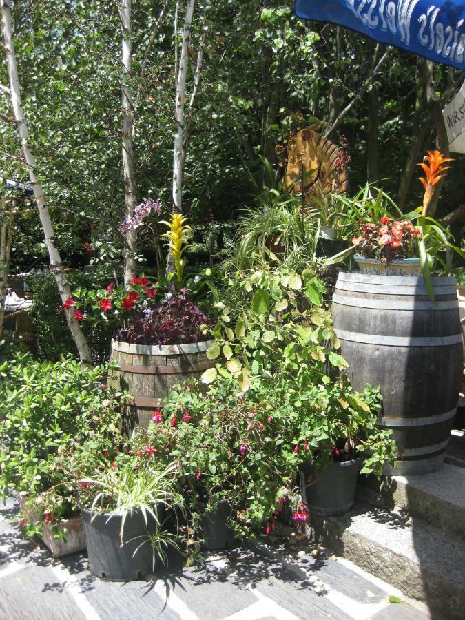 Hotel Rural Los Frutales Cercedilla Εξωτερικό φωτογραφία